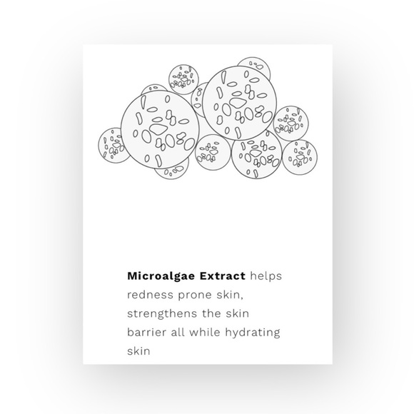 new REN Skincare ㋛ Evercalm ™ Anti-Redness Serum ㋛ Sensitive Skin Forumla ㋛ - Picture 11 of 16